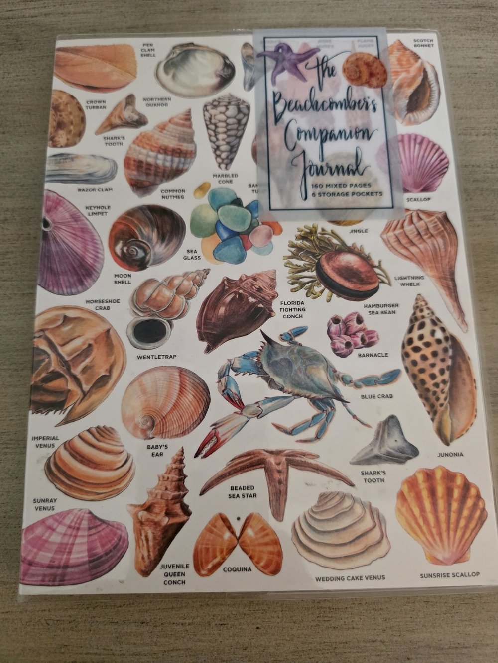 Shell & Sea Life Journal With Vinyl Cover